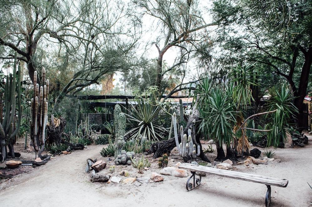 פאלם ספרינגס Desert Lodge מראה חיצוני תמונה