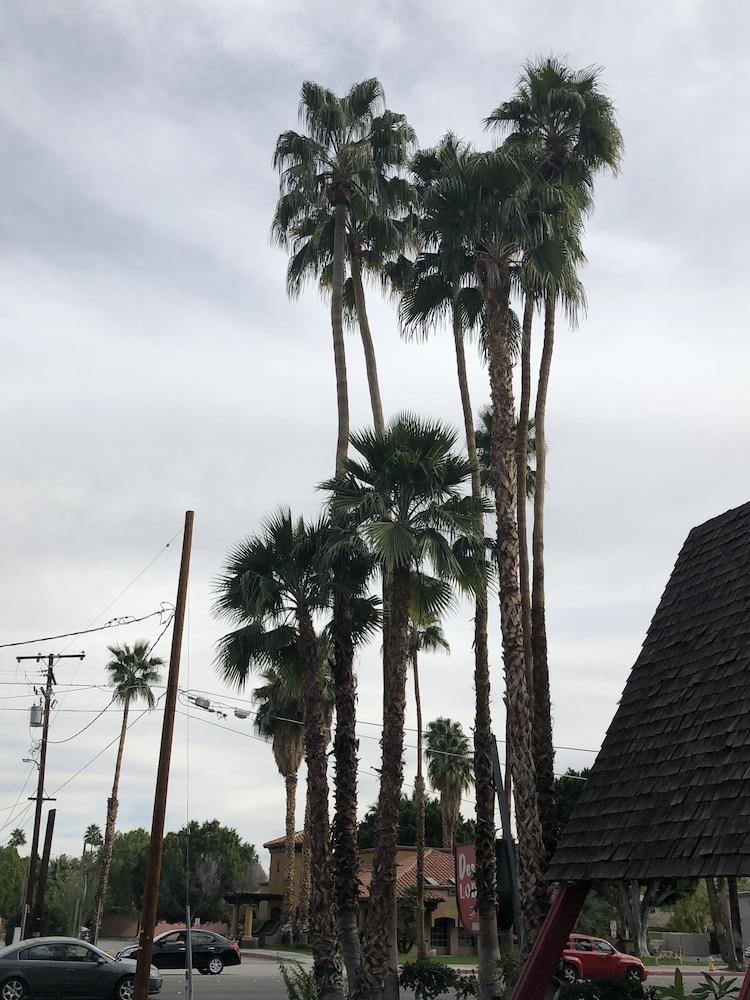 פאלם ספרינגס Desert Lodge מראה חיצוני תמונה